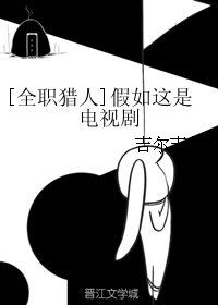 （BL/全职猎人同人）假如这是电视剧