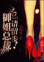 总裁,请留步!/御姐总裁请留步！