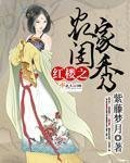 (BG/红楼同人)红楼之农家闺秀