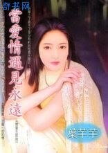 当爱情遇见永远/永恒毋忘我（恋爱五部曲之四）