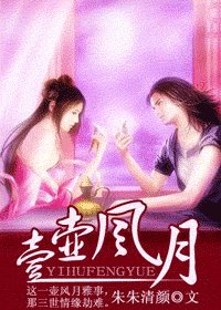 一壶风月