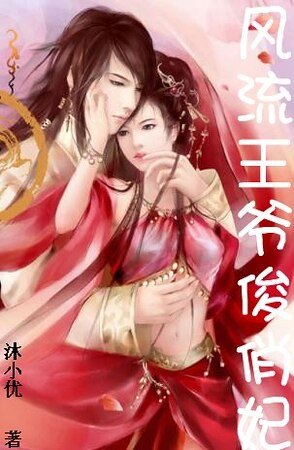 风流王爷俊俏妃