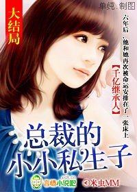 千亿继承人，总裁的小小私生子