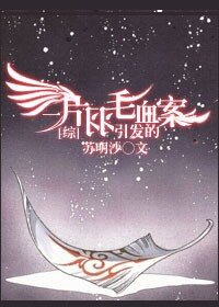 （BG/综漫同人）[综]一片羽毛引发的血案