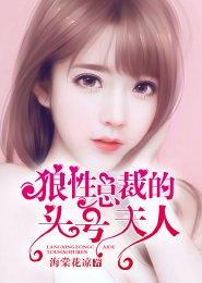 狼兴总裁的头号夫人