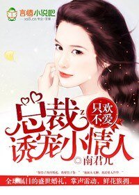 只欢不爱,总裁诱宠小爱人
