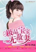 拖油瓶嫁进豪门：极品宝宝无敌妻