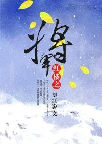 (BG/红楼同人)红楼之将军