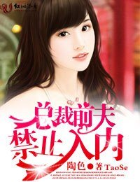 总裁前夫，禁止入内