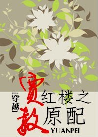 （BG/红楼同人）穿越红楼之贾赦原配