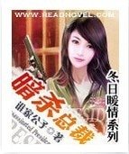 《暗杀总裁》
