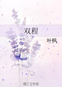 （BL/银河英雄传同人）双程