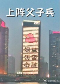 (BL/全职高手同人)上阵潘子兵